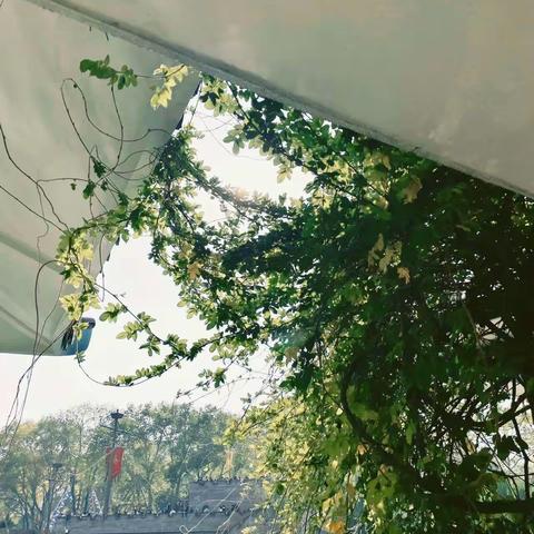 ★共济班★爱拼才会赢