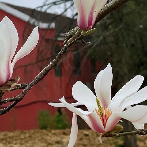 ★共济班★阳春三月，静待花开