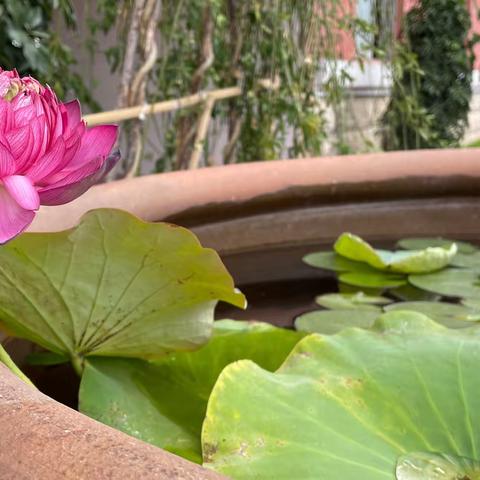 ★共济班★温情五月，感恩相伴