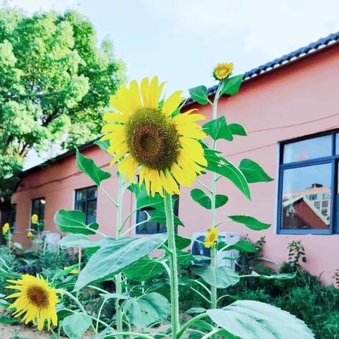 ★共济班★你好，流彩的六月