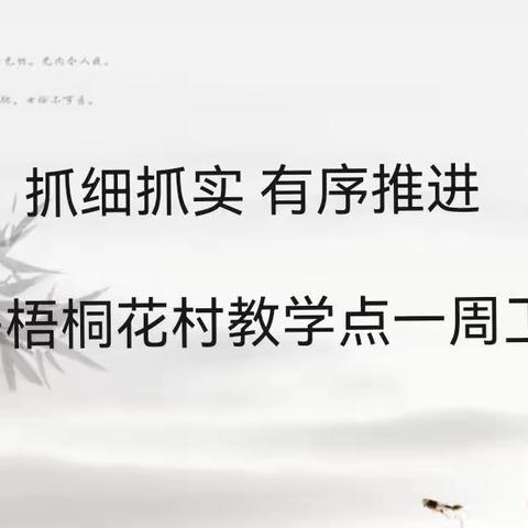 抓细抓实  有序推进——梧桐花村教学点一周工作纪实