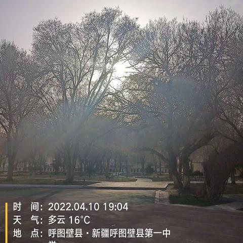 4月10日校园的杏花，梅花，桃花都开了