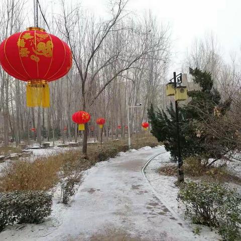 庚子正月随想