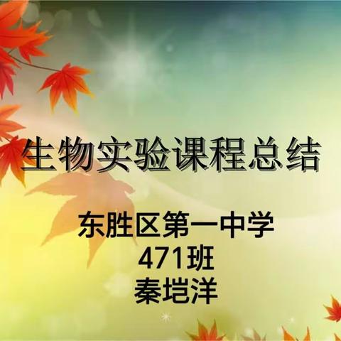 秦垲洋生物实验作业