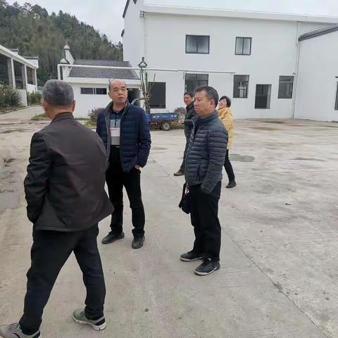 泰宁县农业农村局开展节前屠宰环节安全生产检查