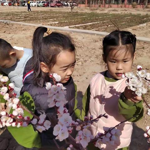 蓝天大地幼儿园中三班生活化课程—遇见春分