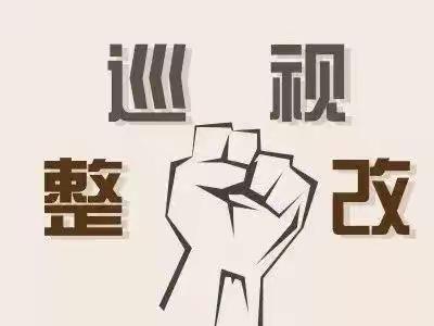 外滩支行党委纪委同题共答同向发力，统筹推进中央巡视对照整改工作