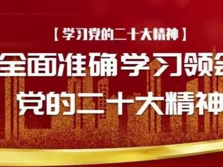 新安洁第二党支部全面学习领会党的二十大精神