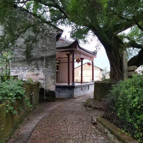 让你穿越时光隧道的古村一一连州市丰阳村