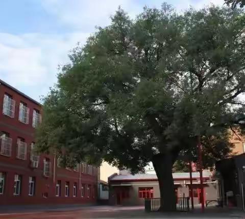 播种活力  迎接美好——中山街小学一年级云运动会