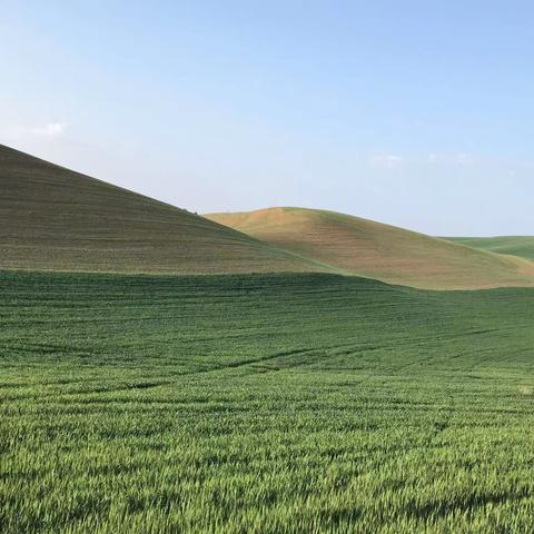 俄勒冈华盛顿州之旅（一）哥伦比亚河谷和大麦田