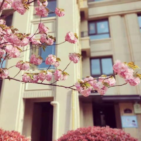 阳光正好，微风不燥，感恩身边的美好