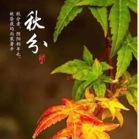 秋分至秋意浓