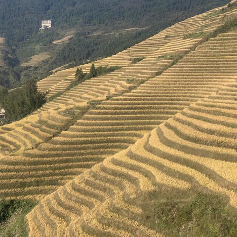 一路向南----目标-----海口