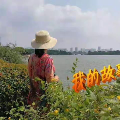 （二十三）我家的升迁和沉浮，前扑后继闯世界。