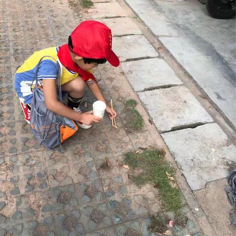 这个国庆节过的很有意义，首先要感谢衢江区第一小学老师给孩子布置了一些非常有价值的实践作业，受益匪浅！