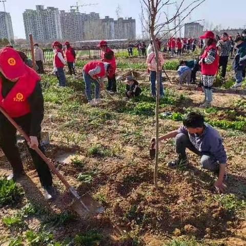 播种希望 ，让心愿和树苗一起成长