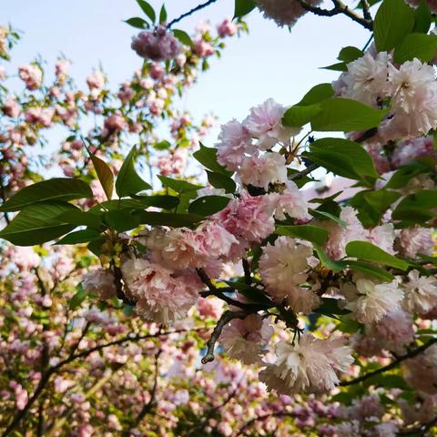 坚定信心，逐梦前行