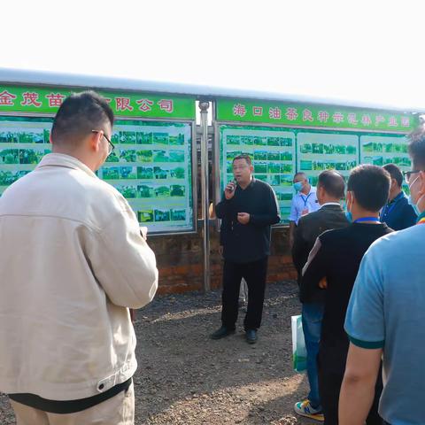 海口市林业局开展油茶产业推进活动