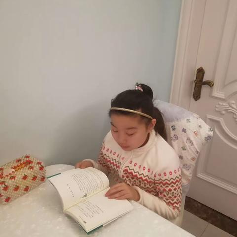 假期里我最喜欢读的书