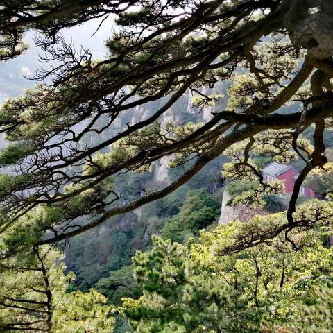 东岳泰山——天烛峰