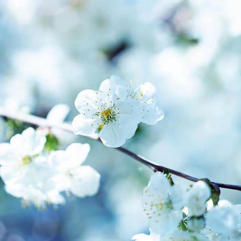 “停课不停学”建德市李家初级中学英语组线上课ING