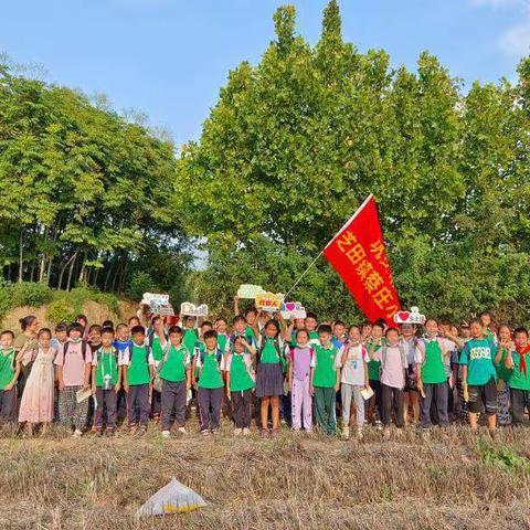 浓浓乡土味，悠悠故乡情——乡土课程在蔡庄小学扬帆起航