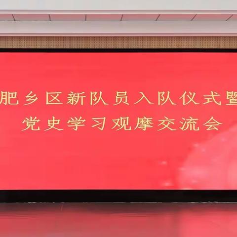 【肥乡少先队】邯郸市肥乡区召开新队员入队仪式暨党史学习观摩交流会