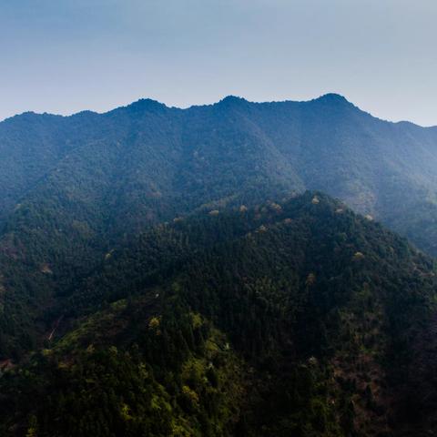 美丽乡村——雩田镇茂园村