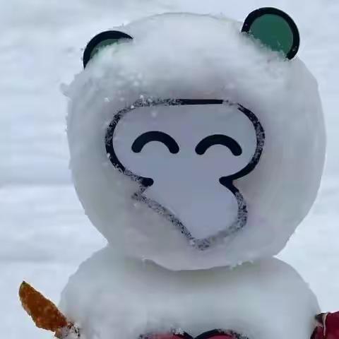 实验小学三一班雪天居家活动