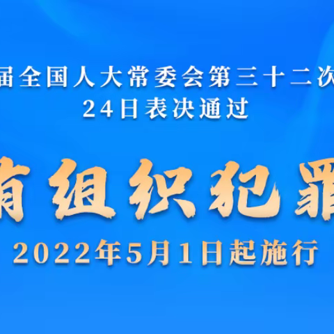 辰溪县培苗幼儿园普法宣传《反有组织犯罪法》