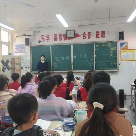 跟随高手学观察，我是观察小达人——记洛龙区一实小翠云路分校四年级组观察日记活动