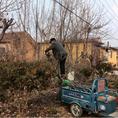 推进人居环境整治  打造美丽宜居乡村