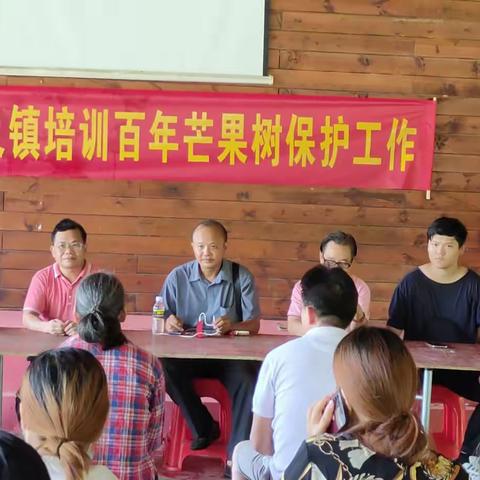 “科普下乡、助力振兴”七叉镇为保护百年芒果树送课下乡