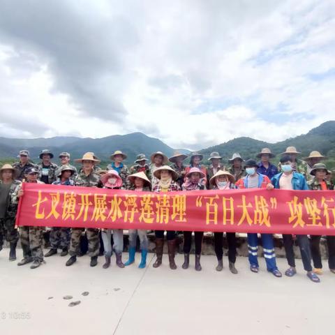 水生态环境治理——七叉镇开展水浮莲清理整治专项行动