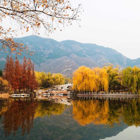 北京植物园秋色——全景摄影