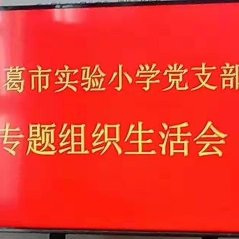 长葛市实验小学党支部12月份主题党日活动———专题组织生活会和党员民主测评