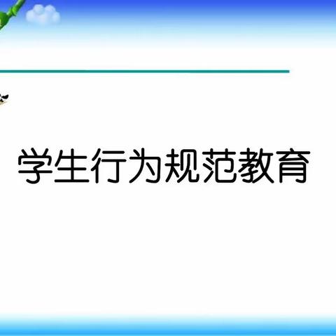 无以规矩不成方圆——一七班小学生行为规范学习