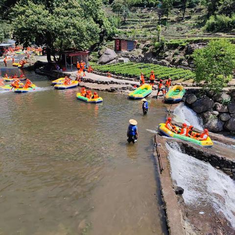 陪百岁寿星书画西河