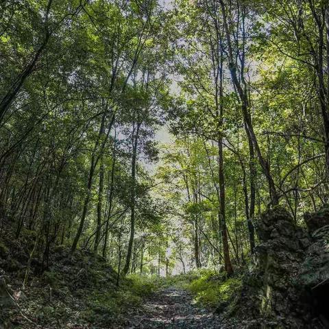 地心洞天 | 与其在漫长冬夜熬天明，不如在恒温17度的溶洞吃火锅