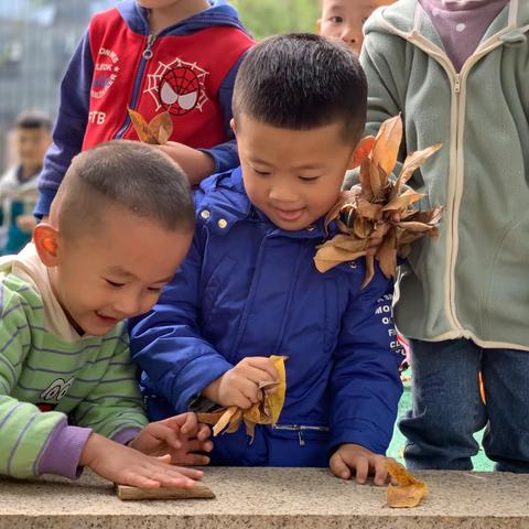 落叶奇遇记—宜阳园区小四1班主题活动