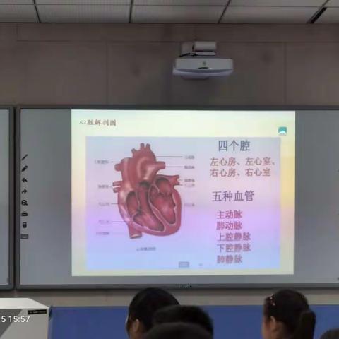 数学文化教研活动——展示课《跳动的心脏》和微课讲座《小学数学文化的探索和思考》