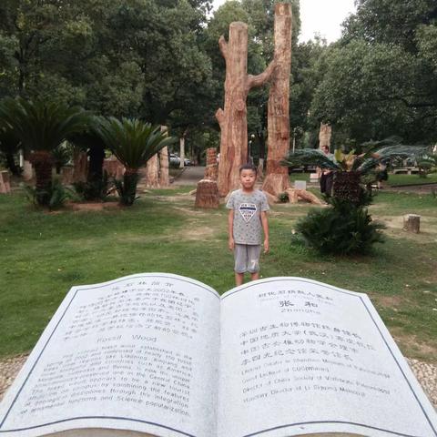 🌸浸润书香朵朵花开🌸《会刻猫头鹰的男孩》焦东路小学三（13）班亲子共读第九天