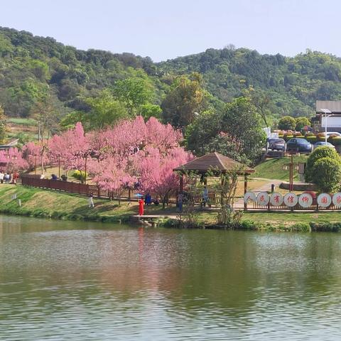 春游东安湖