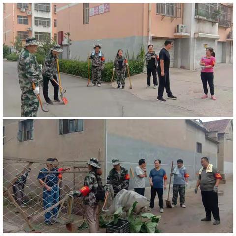 苗山携手共建卫生城，齐心同育莱芜文明花