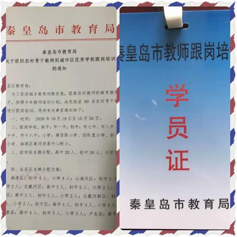 打开眼界，成长如花绽放 ------2020年秦皇岛市农村骨干教师跟岗培训总结