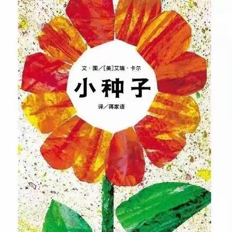 绘本推荐《小种子》