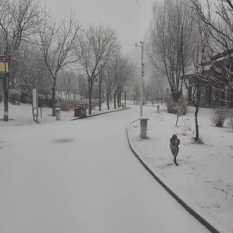 等一场雪，念一个人