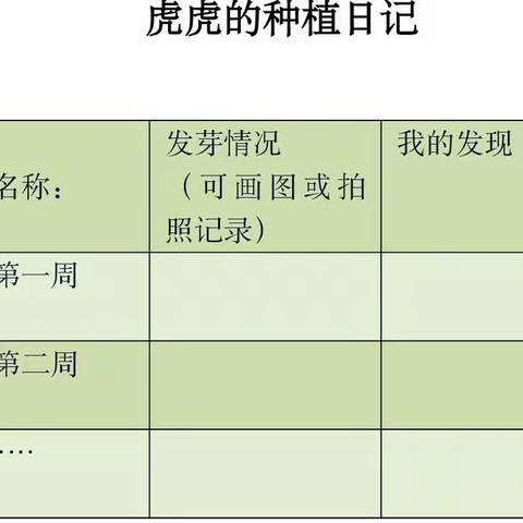 双减“智”学习 科学“慧”生活——寒假科学创意实践活动