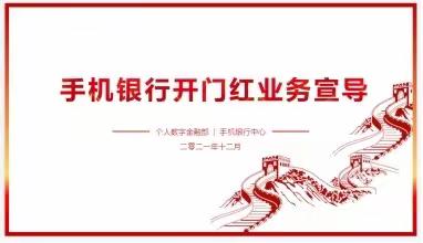 个数部陈红主任至本级营业部宣导2022年开门红手机银行方案